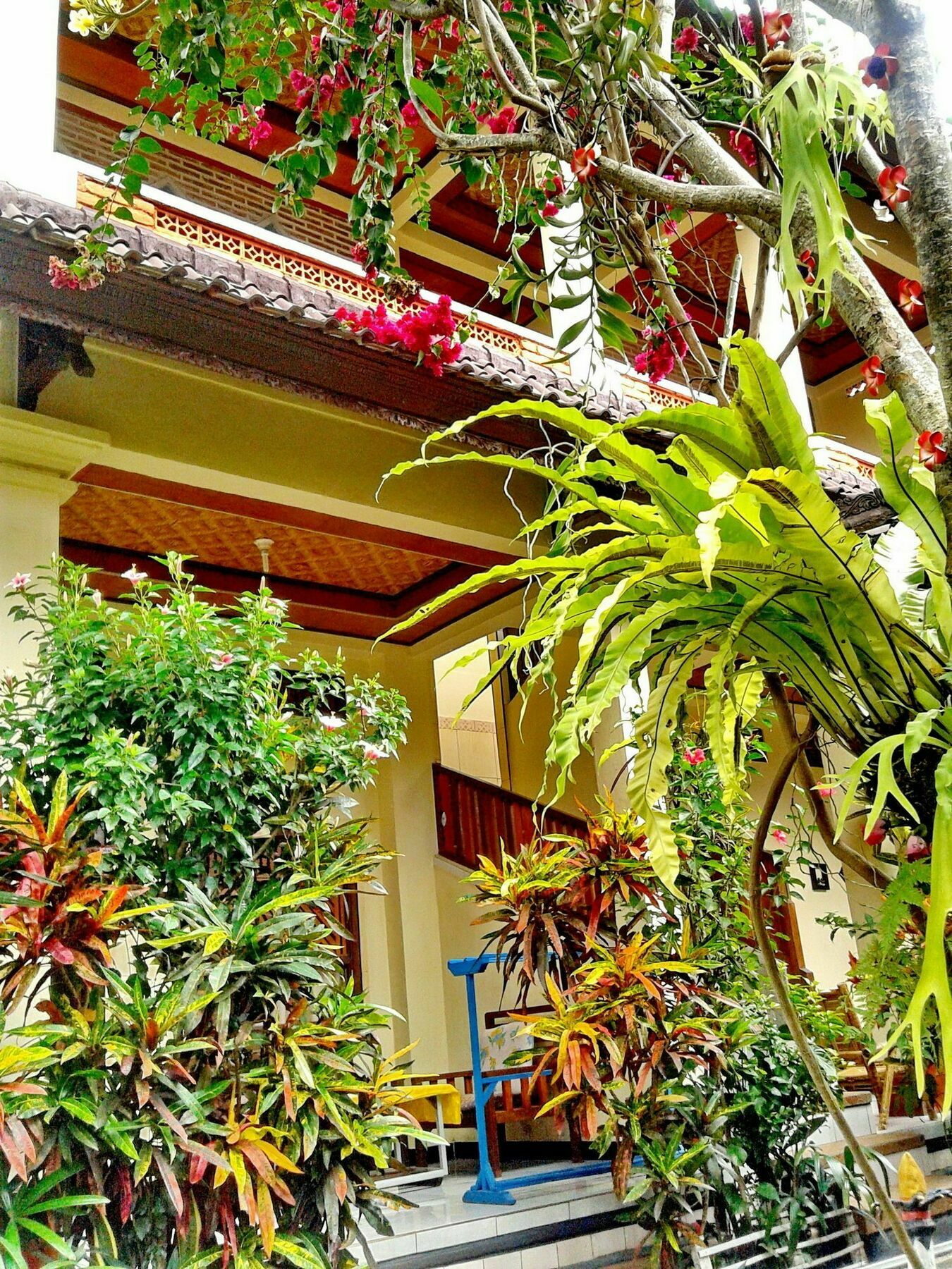Arjuna Homestay Ubud Екстер'єр фото